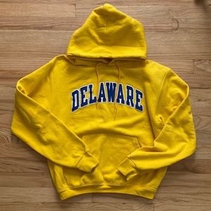 University of Delaware hoodie